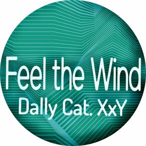 Album Feel the Wind (Explicit) from Dally Cat. XxY