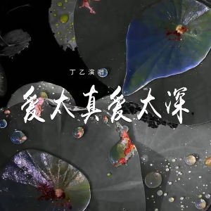 Album 爱太真爱太深 from 丁乙