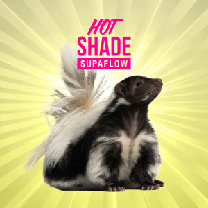 Dengarkan Supaflow lagu dari Hot Shade dengan lirik