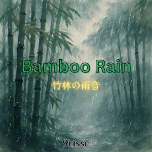 Album Bamboo Rain from Chris Ciari