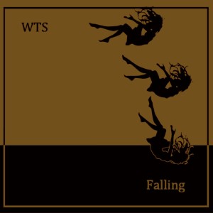 Listen to Falling By WTS (TiE Remix) song with lyrics from WTS