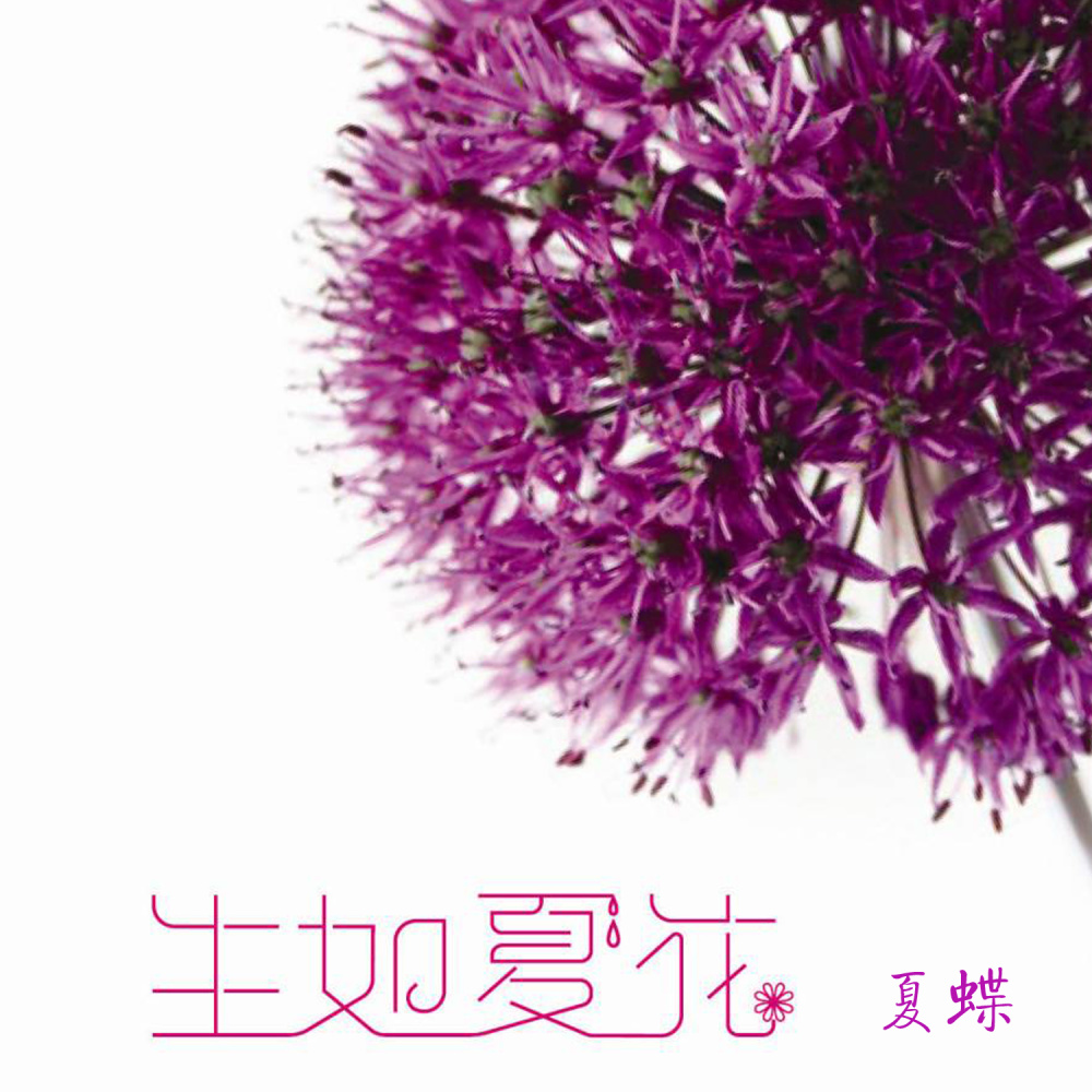 生如夏花 (伴奏)