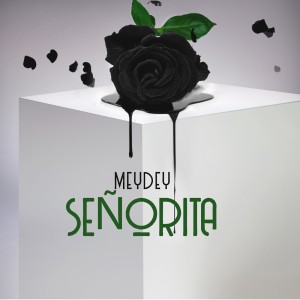 Listen to Señorita song with lyrics from Meydey