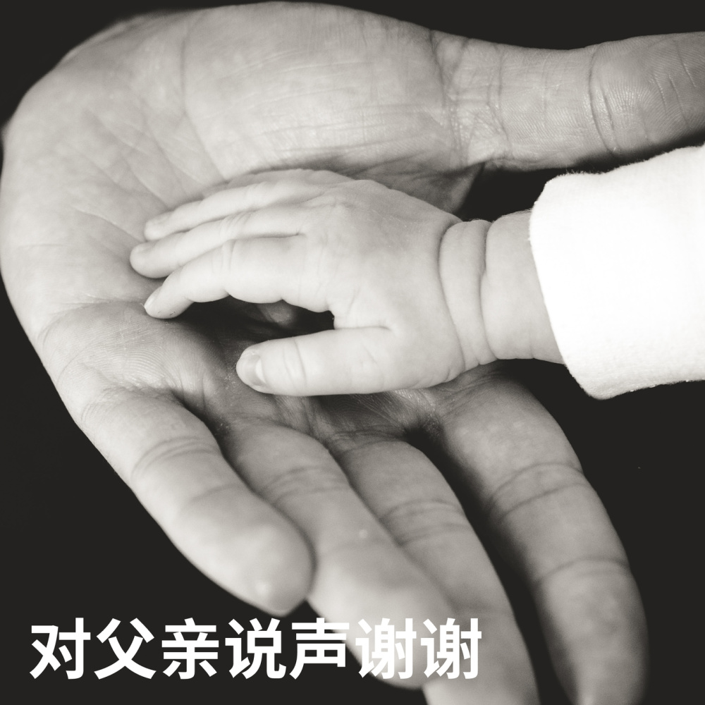 背影