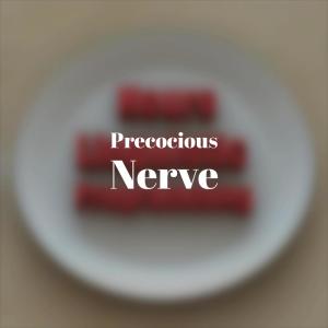Dengarkan lagu Precocious Nerve nyanyian Rocael dengan lirik