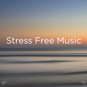 ดาวน์โหลดและฟังเพลง Sleep Music Relax พร้อมเนื้อเพลงจาก Yoga
