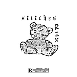 ดาวน์โหลดและฟังเพลง Rex (Explicit) พร้อมเนื้อเพลงจาก Stitches