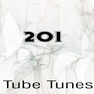 Various Artists的專輯Tube Tunes, Vol.201