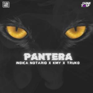 ดาวน์โหลดและฟังเพลง Pantera (Explicit) พร้อมเนื้อเพลงจาก Indica Notario