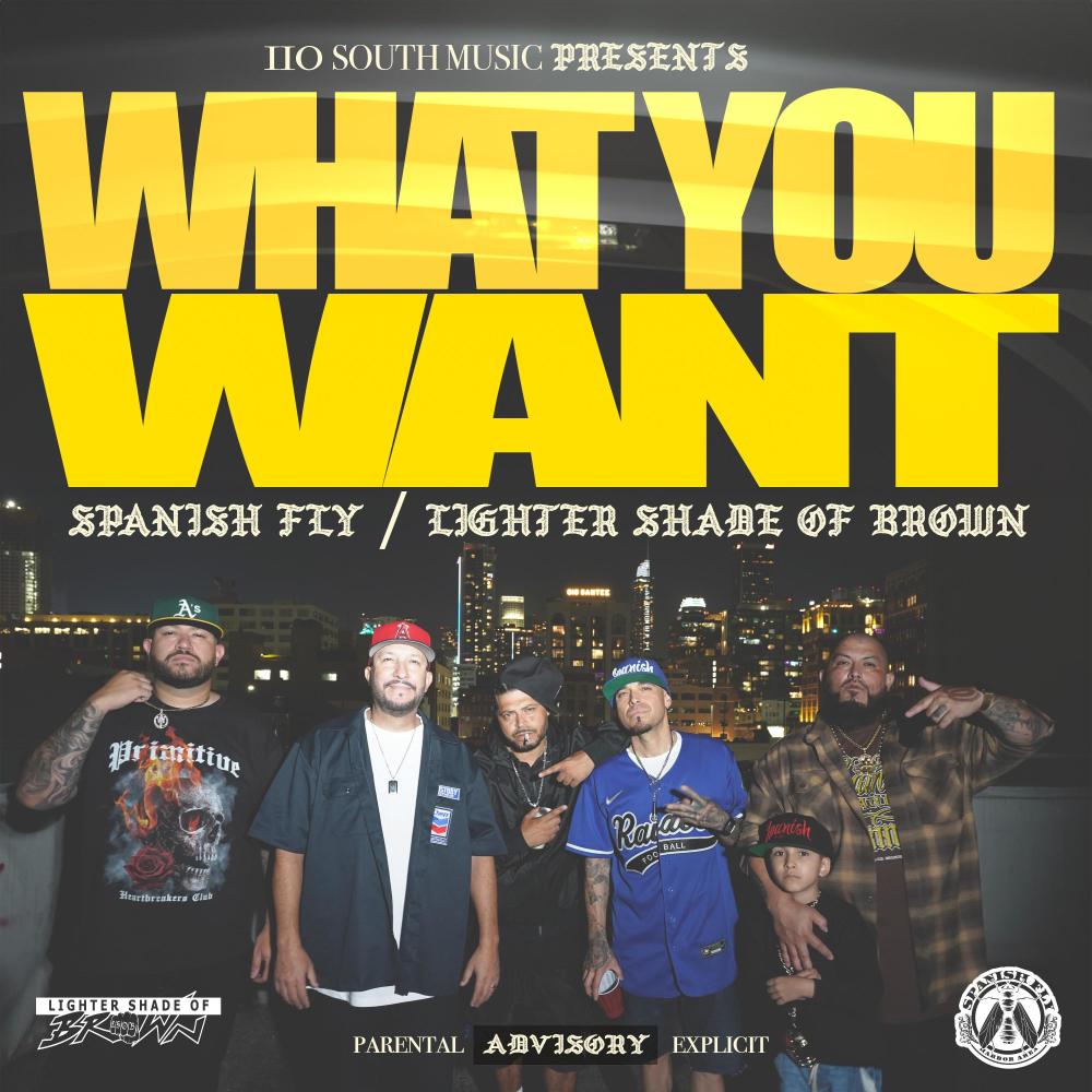 What You Want (feat. Lighter Shade of Brown, ODM & Money Moons) (Explicit)