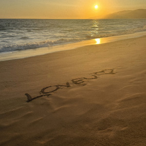 d4vd的專輯L.O.V.E.U