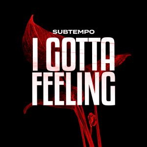 Listen to I GOTTA FEELING (DnB) song with lyrics from Subtempo