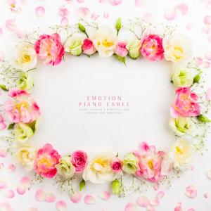 Listen to Our Time To Shine song with lyrics from Aurora（欧美）