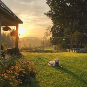 Dengarkan lagu Рядом nyanyian GVALLA dengan lirik