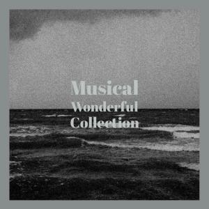 อัลบัม Musical Wonderful Collection ศิลปิน Various