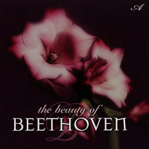 The Beauty of Beethoven