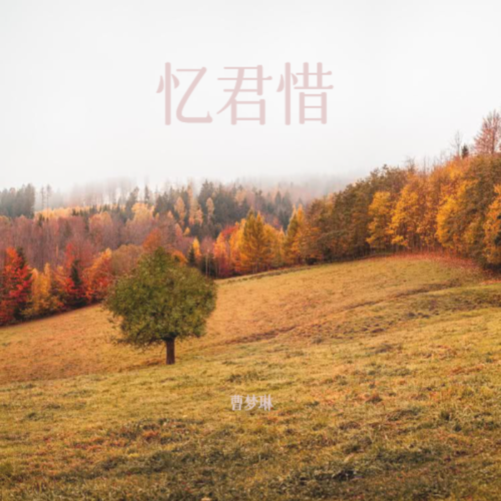 忆君惜 (伴奏)