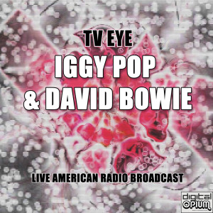 Listen to TV Eye (Live) song with lyrics from Iggy Pop