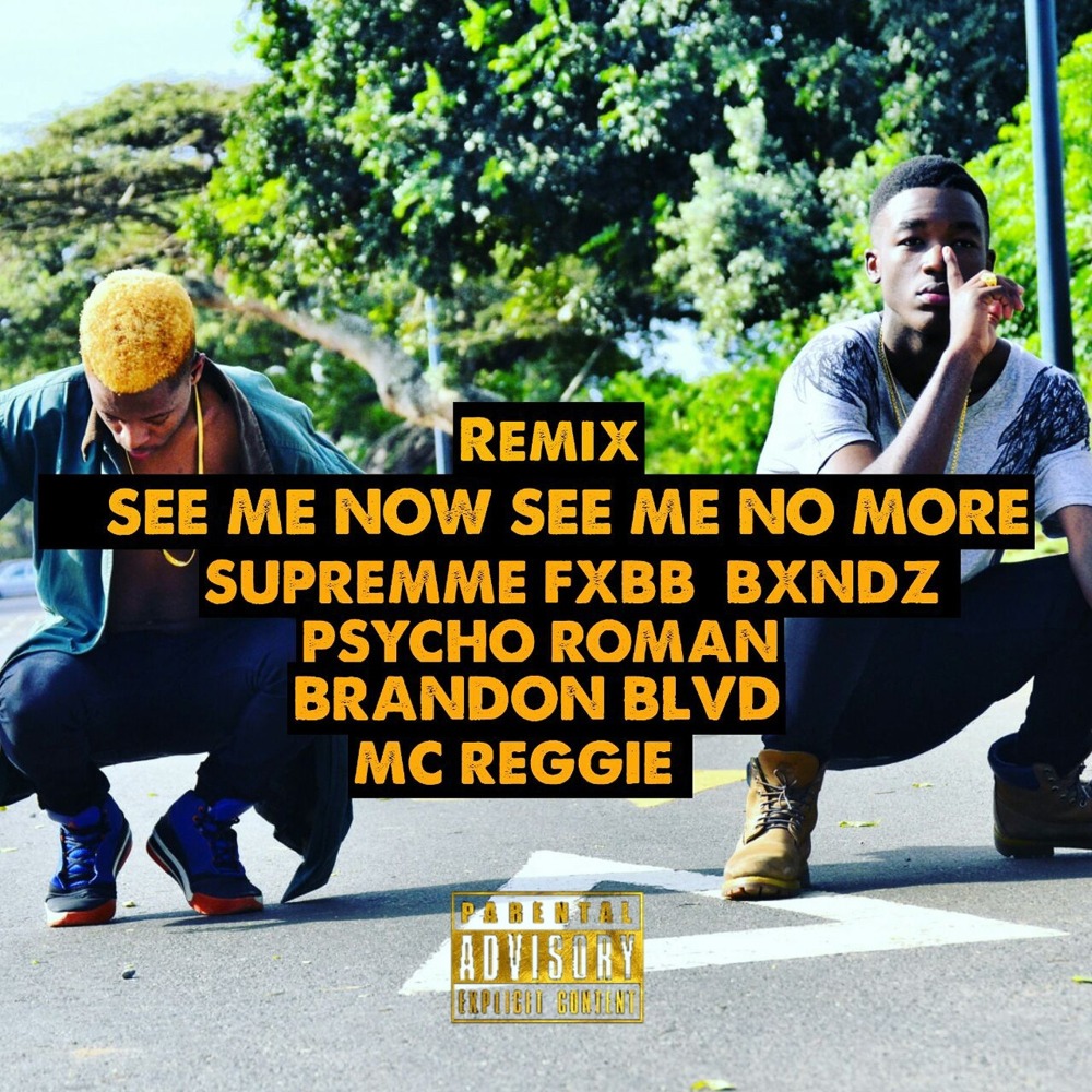 See Me Now See Me No More (Remix(Explicit))
