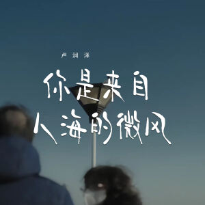 Album 你是来自人海的微风 from 卢润泽