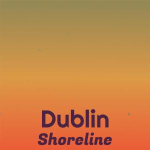 Various Artists的專輯Dublin Shoreline