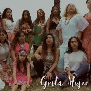 ดาวน์โหลดและฟังเพลง Grita Mujer (feat. Naysha, Leslie Patten & Claudia Maúrtua) (Explicit) พร้อมเนื้อเพลงจาก illari arbe
