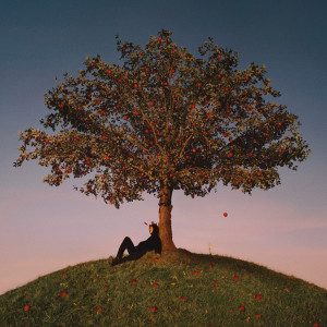 ดาวน์โหลดและฟังเพลง CANCELLED (Explicit) พร้อมเนื้อเพลงจาก slowthai