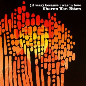 ดาวน์โหลดและฟังเพลง It's Not Like พร้อมเนื้อเพลงจาก Sharon Van Etten