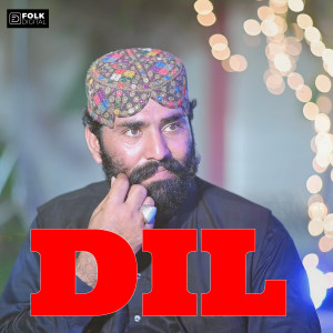 Album Dil from 