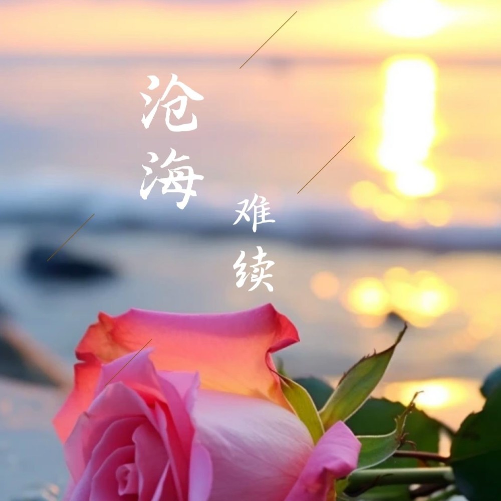 沧海难续 (伴奏)