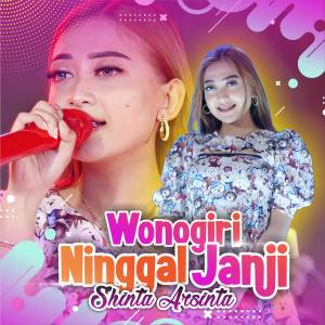 Listen to Wonogiri Ninggal Janji song with lyrics from Shinta Arsinta
