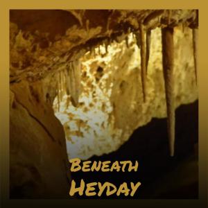 Listen to Integrated Biophysicist song with lyrics from Aldeen Milen