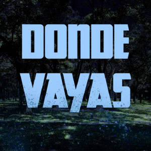 ดาวน์โหลดและฟังเพลง Donde Vayas พร้อมเนื้อเพลงจาก Joseph Barmon