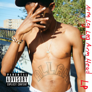 Album ARM LEG LEG ARM HEAD lp (Explicit) from 