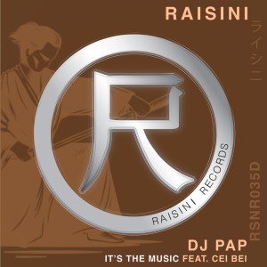DJ Pap的专辑Its the Music