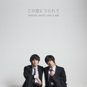 Album Konokoi from SHIROSE(WHITE JAM)