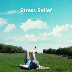 อัลบัม Stress Relief (Sounds for Self-Reflection, Kindness, and Stress Relief) ศิลปิน Ocean Waves For Sleeping