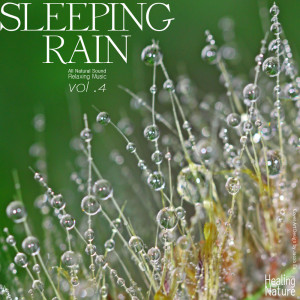 Listen to Wonderful Natural Rain For Heals Insomnia song with lyrics from 힐링 네이쳐 Nature Sound Band