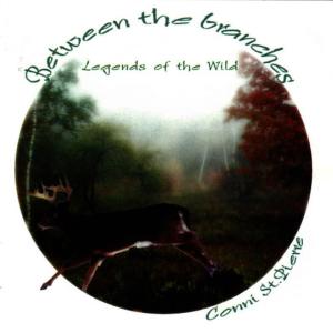 ดาวน์โหลดและฟังเพลง Crystal Caverns พร้อมเนื้อเพลงจาก Conni St. Pierre