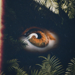 Listen to Giungla (Explicit) song with lyrics from braydn