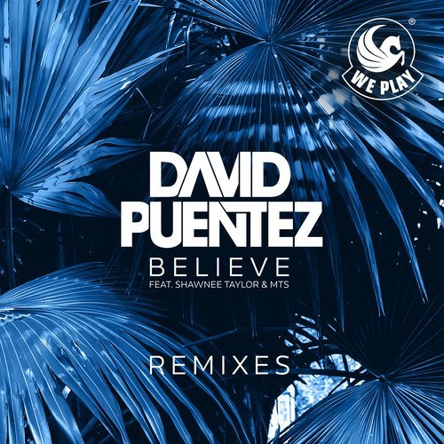 Believe (feat. Shawnee Taylor & MTS) [Takedown Remix] (Takedown Remix)