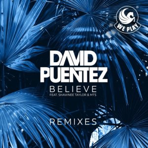 ดาวน์โหลดและฟังเพลง Believe (feat. Shawnee Taylor & MTS) [Takedown Remix] (Takedown Remix) พร้อมเนื้อเพลงจาก David Puentez