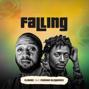 อัลบัม Falling (feat. Morgan blaqbaron) ศิลปิน Elokhee