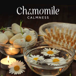 ดาวน์โหลดและฟังเพลง Healing Herbs พร้อมเนื้อเพลงจาก Relaxing Distraction Therapy Zone