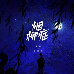 Listen to 烟柳症 (伴奏) song with lyrics from 徐剑秋