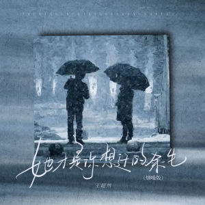 收聽王超然的她纔是你想過的餘生 (煙嗓版)歌詞歌曲
