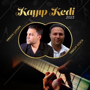 Listen to Kayıp Kedi song with lyrics from Hakan Çakan