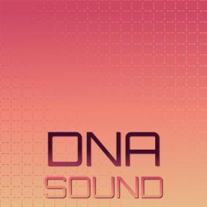 Album Dna Sound oleh Various