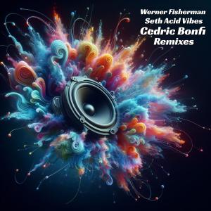 收聽Werner Fisherman的Seth Acid Vibes (Cedric Bonfi RMX|Cedric Bonfi Remix Rue des Trois Rois Records)歌詞歌曲