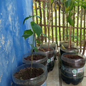 ดาวน์โหลดและฟังเพลง Ku berpengantin พร้อมเนื้อเพลงจาก Wulan Sari